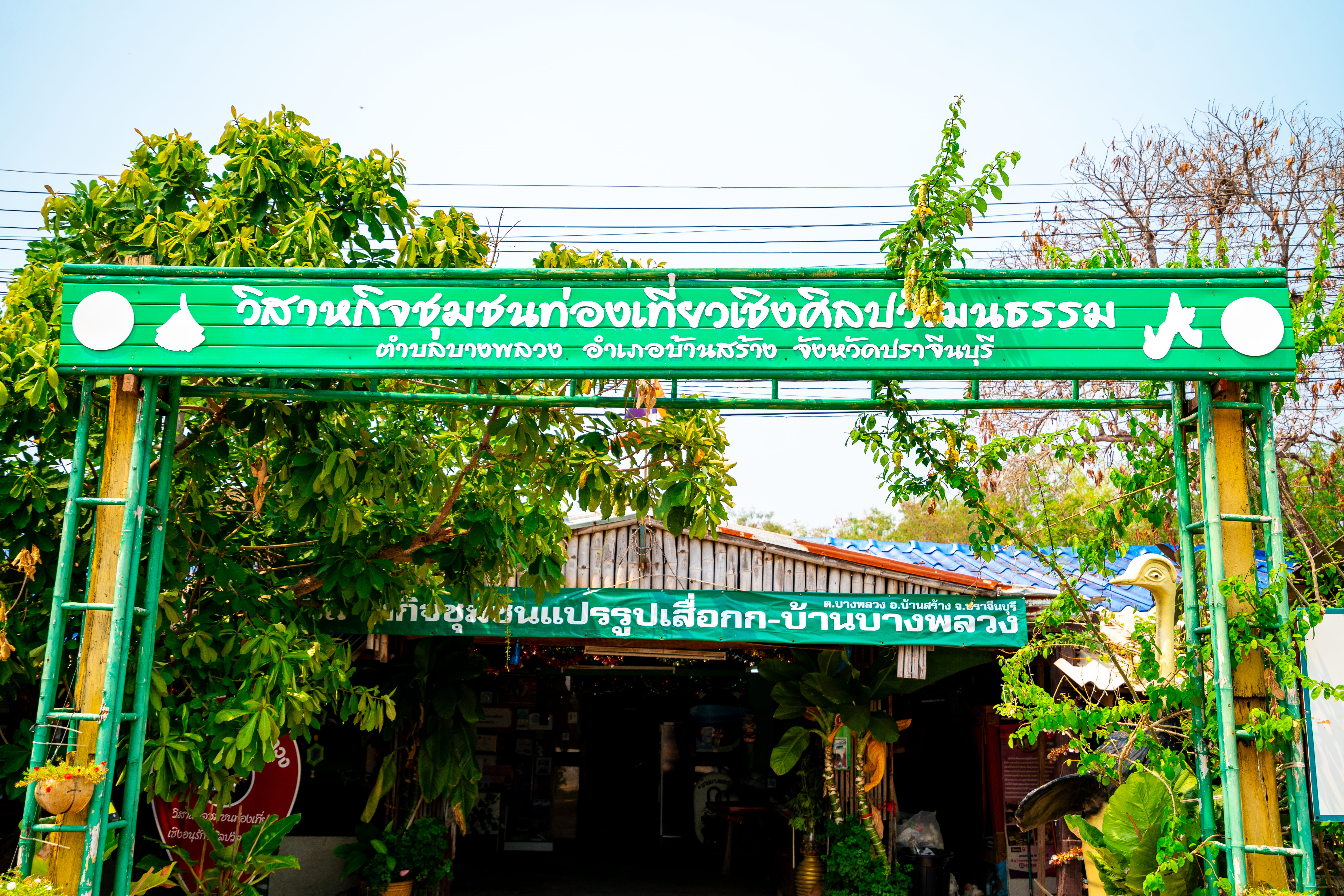 รูปภาพ